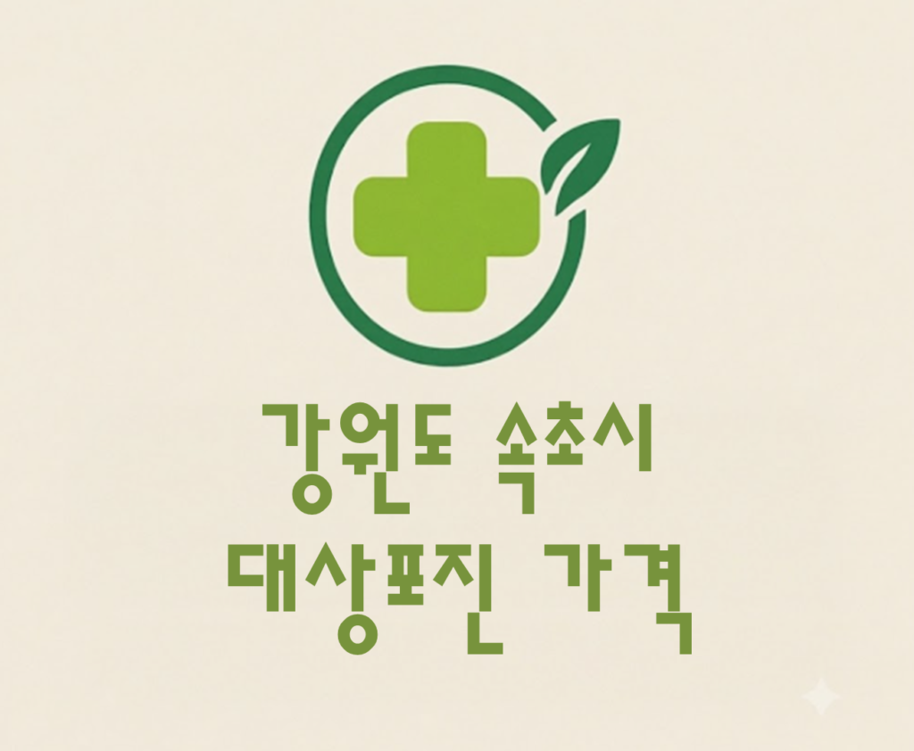 속초시 대상포진 접종 가격 얼마나 할까? (병원, 보건소, 무료접종) 속초시 대상포진 접종 가격 얼마나 할까? (병원, 보건소, 무료접종)